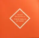 CD - Peter Broderick - These Walls Of Mine - slipcase, limited edition, signed