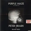 12'' - Peter Brain & Brain Trick - Purple Haze