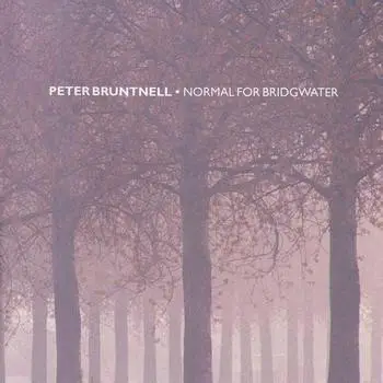 Peter Bruntnell - Normal For Bridgwater
