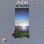 CD - Peter Buffett - The Waiting - Still Sealed
