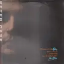 LP - Peter Case - The Man With The Blue Post Modern Fragmented Neo-Traditionalist Guitar - still sealed