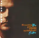 CD - Peter Case - The Man With The Blue Postmodern Fragmented Neo-Traditionalist Guitar