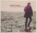 CD - Peter Case - Flying Saucer Blues - Digipak
