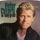 7inch Vinyl Single - Peter Cetera W/ Amy Grant - The Next Time I Fall