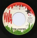 7inch Vinyl Single - Peter Courtney - The Loser / Pictures Are My Only Souvenirs