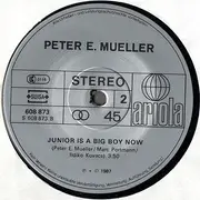 12inch Vinyl Single - Peter E. Mueller - Wings