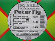 12inch Vinyl Single - Peter Fly - Oriental Dream