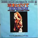 7inch Vinyl Single - Peter Frampton = Peter Frampton - 涙をとどけて = Signed, Sealed, Delivered (I'm Yours)