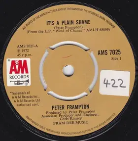 Peter Frampton - It's A Plain Shame