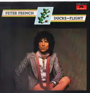 Peter French - Ducks in Flight