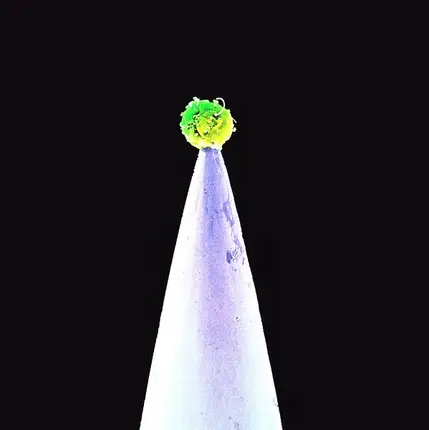 Peter Gabriel - New Blood
