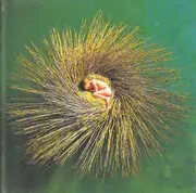 CD - Peter Gabriel - Ovo