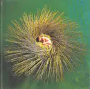 CD - Peter Gabriel - Ovo