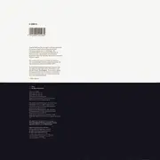 12inch Vinyl Single - Peter Gabriel - Biko