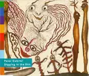CD Single - Peter Gabriel - Digging In The Dirt