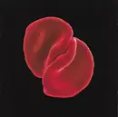 CD - Peter Gabriel - Scratch My Back
