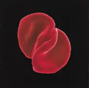 Peter Gabriel - Scratch My Back