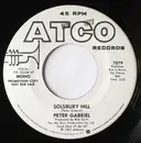 7inch Vinyl Single - Peter Gabriel - Solsbury Hill - Mono / Promo