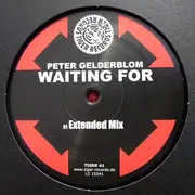 12inch Vinyl Single - Peter Gelderblom - Waiting For