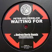 12inch Vinyl Single - Peter Gelderblom - Waiting For