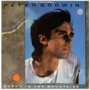 12'' - Peter Godwin - Baby's In The Mountains / Soul Of Love