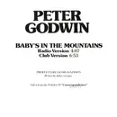 12'' - Peter Godwin - Baby's In The Mountains - PROMO
