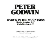 12'' - Peter Godwin - Baby's In The Mountains - PROMO