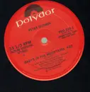 12inch Vinyl Single - Peter Godwin - Baby's In The Mountains - PROMO