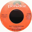 7inch Vinyl Single - Peter Godwin - Baby's In The Mountains