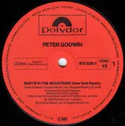 12inch Vinyl Single - Peter Godwin - Baby's In The Mountains / Soul Of Love