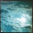 LP - Peter Green - In The Skies - Gatefold