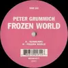 LP - Peter Grummich - Frozen World