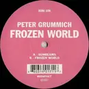 LP - Peter Grummich - Frozen World