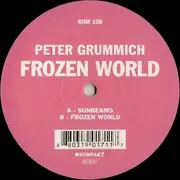 LP - Peter Grummich - Frozen World