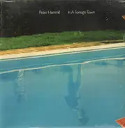 Peter Hammill - In a Foreign Town