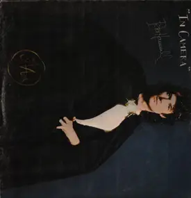 Peter Hammill - In Camera