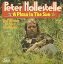 7inch Vinyl Single - Peter Hollestelle - A Place In The Sun