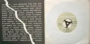 7inch Vinyl Single - Peter Keiler - Antwort Auf Einen Erlass