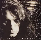 Peter Koppes - From the Well
