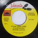 7inch Vinyl Single - Peter Lloyd - Walk Thru Fire