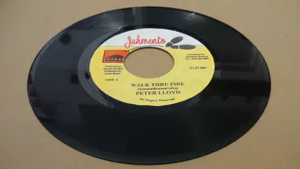 Peter Lloyd - Walk Thru Fire