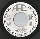 7inch Vinyl Single - Peter McIan - Light In Your Eyes