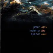 CD - Peter Materna Quartet - After The Rain