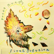 Peter Murphy - Final Solution