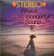 Peter Norman a.o. - What A Wonderful Sound - 6. Folge