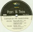 12inch Vinyl Single - Peter Pan & Andy Trex - Iceman On The Beach (Remixes)