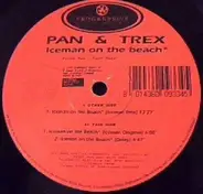 Peter Pan & Andy Trex - Iceman On The Beach