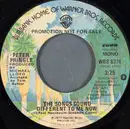 7inch Vinyl Single - Peter Pringle - The Songs Sound Different To Me Now