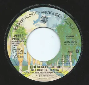 Peter Pringle - You Really Got Me Needing You