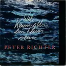 7inch Vinyl Single - Peter Richter - Wie Kann Ich Ein Fluss Sein